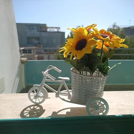 بيت للعطل Serena Baia